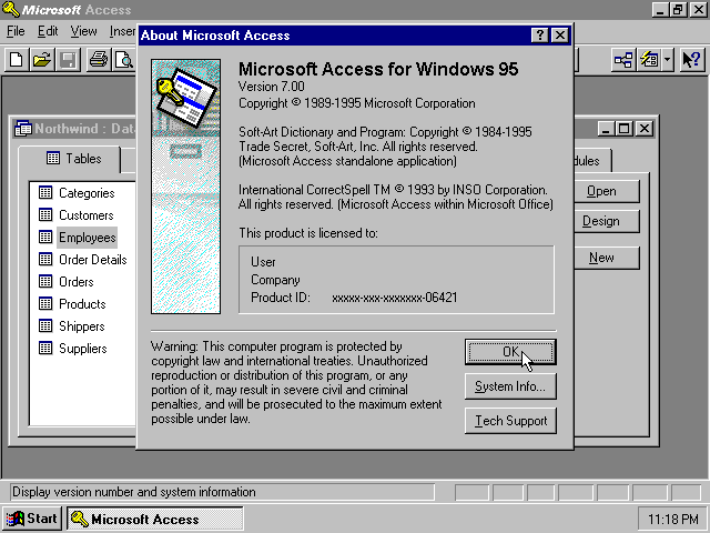 Microsoft Access 95 - About